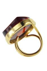Ring PS878-002