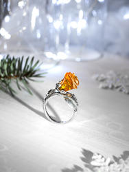 Ring PS616-002