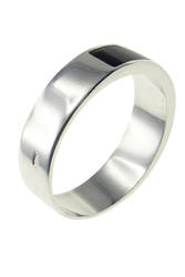Ring PS883-002