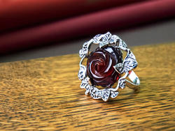 Ring PS836-001