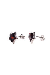 Earrings SS1513-001