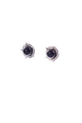 Earrings SS1490-001