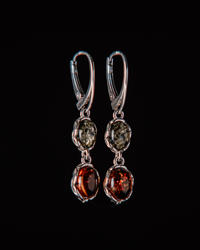 Earrings SS1119-001