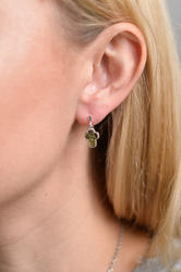 Earrings SS1447-001