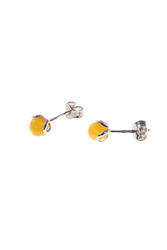 Earrings SS1484-001