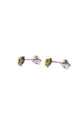 Earrings SS1425-001