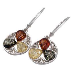 Earrings SS1753-001