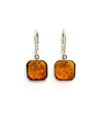 Earrings SS1779-001