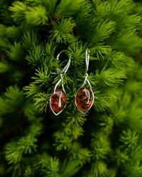 Silver earrings with amber "Dahlia"