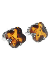 Stud earrings made of silver “Four leaf clover”