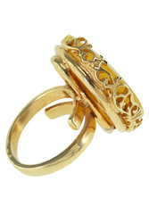 Ring PS610-002
