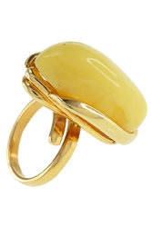 Ring PS668-002