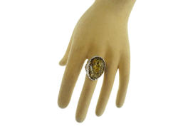 Ring PS810-002