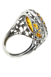 Ring PS768-002