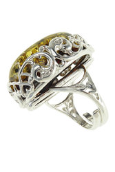 Ring PS794-002