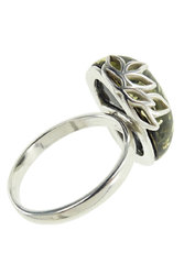 Ring PS735-002