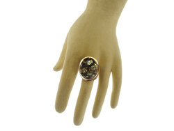 Ring PS790-002
