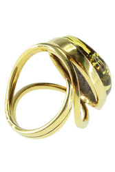 Ring PS777-002