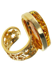 Ring PS709-002