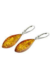 Earrings with amber and silver “Angia”
