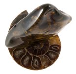 Сувенір з бурштину на підставці