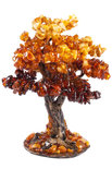 Amber tree SUV000077-004