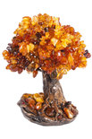 Amber tree SUV000635-001