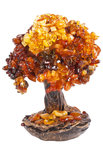 Amber tree SUV000635-001