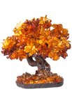 Amber tree SUV000395