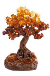 Amber tree SUV000935-001