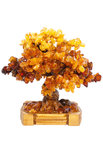 Amber tree SUV000923-002