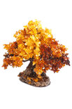 Amber tree SUV000856-010