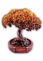 Янтарное дерево Бонсай