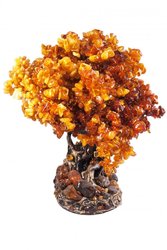 Amber tree SUV000518-001