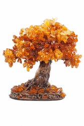 Amber tree SUV000266