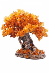 Amber tree SUV000266