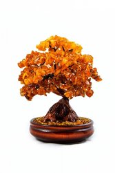 Amber tree Д-09-Я