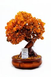 Amber tree Д-12-Я    