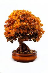 Дерево-бонсай янтарное