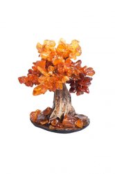 Amber tree SUV000175