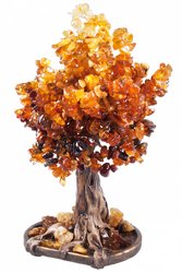 Amber tree SUV000067