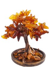 Amber tree SUV000075