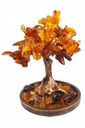 Amber tree SUV000075