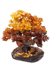 Amber tree SUV000854-005