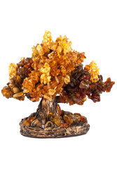 Amber tree SUV000856-057