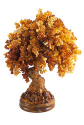Amber tree SUV000550-005