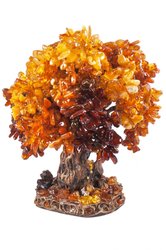Amber tree SUV000421