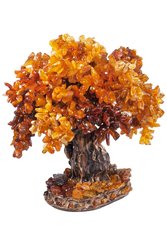 Amber tree SUV000405