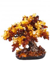 Amber tree SUV000415