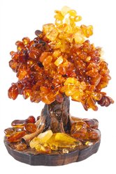 Amber tree SUV000418